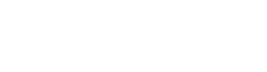 New Portfolio